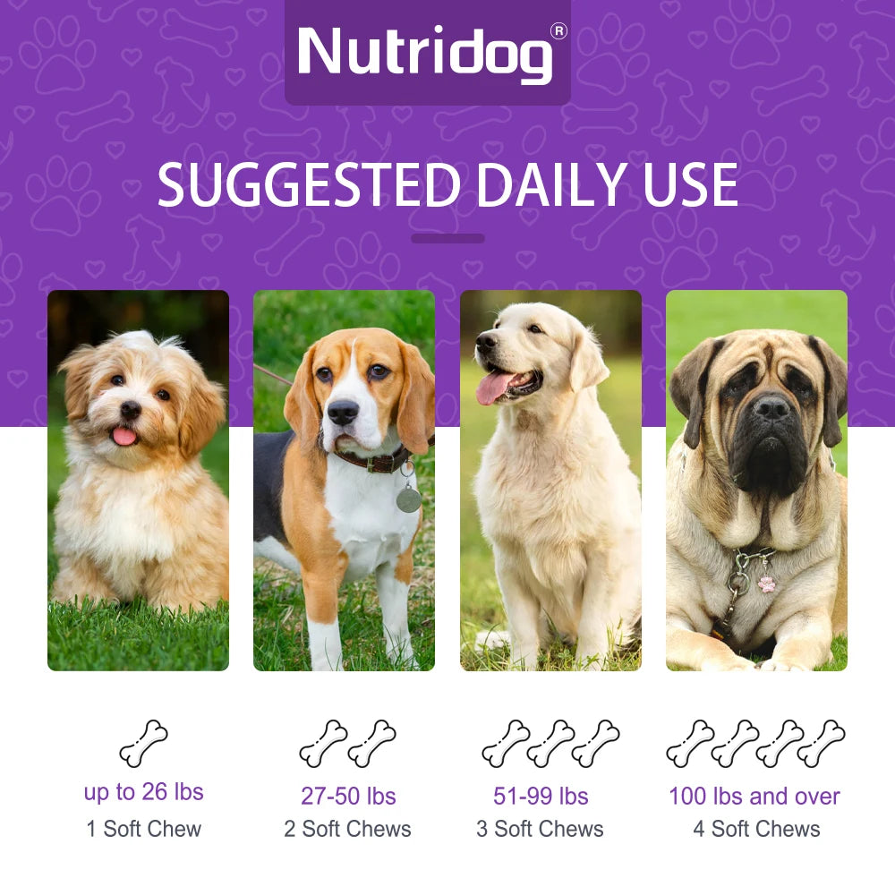 Turmeric Chews For Dog - Joint care contains glucosamine&chondroitin - Digestive support-120 soft chews