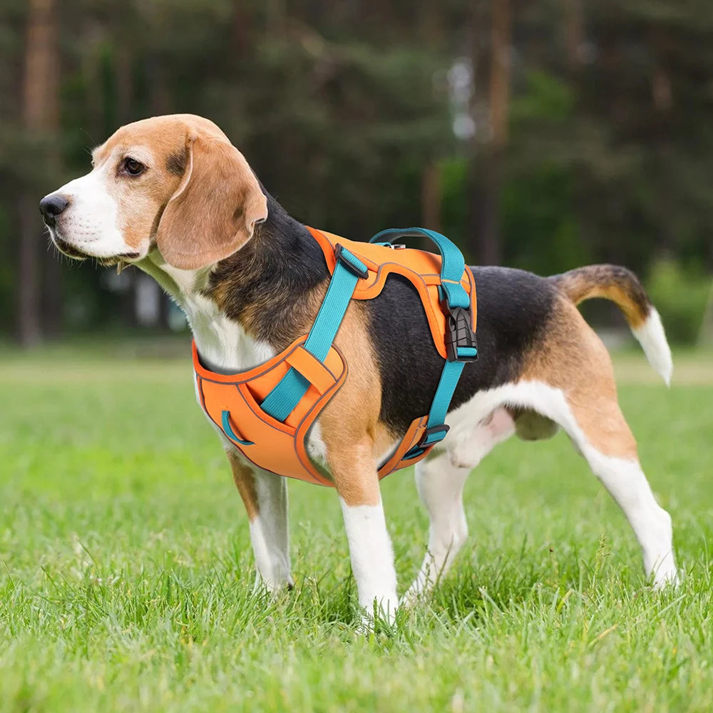 Mesh Breathable Harness Nylon Reflective Dog Vest Adjustable