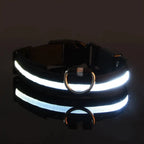 Nylon LED Night Safety Glow In The Dark Dog Leash Luminous Fluorescent Collar