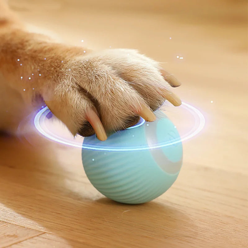 Electric Smart Puppy Ball Toy