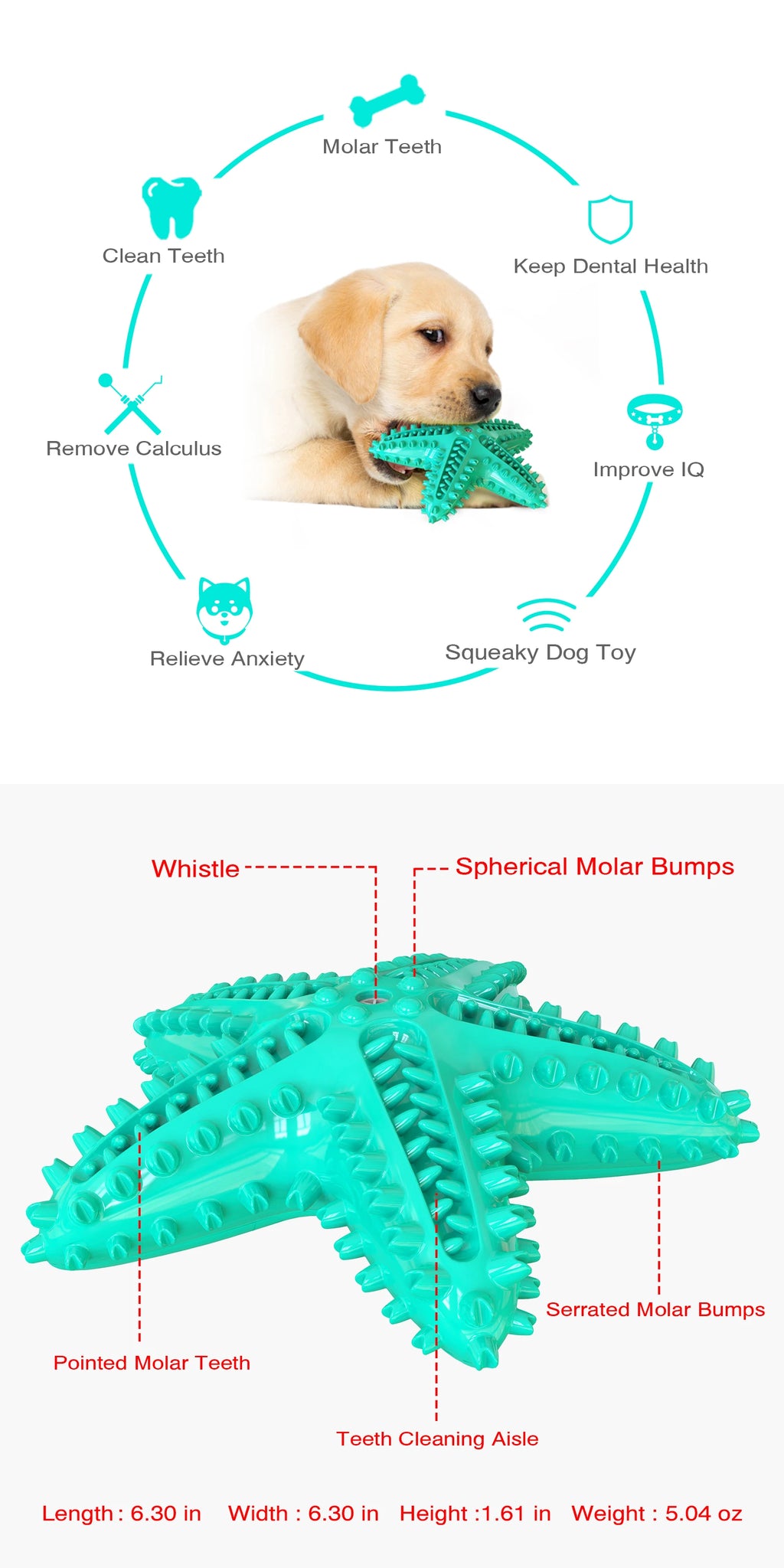 For Large Dogs Tooth Cleaning Chew Funny Interactive Training Starfish Toy