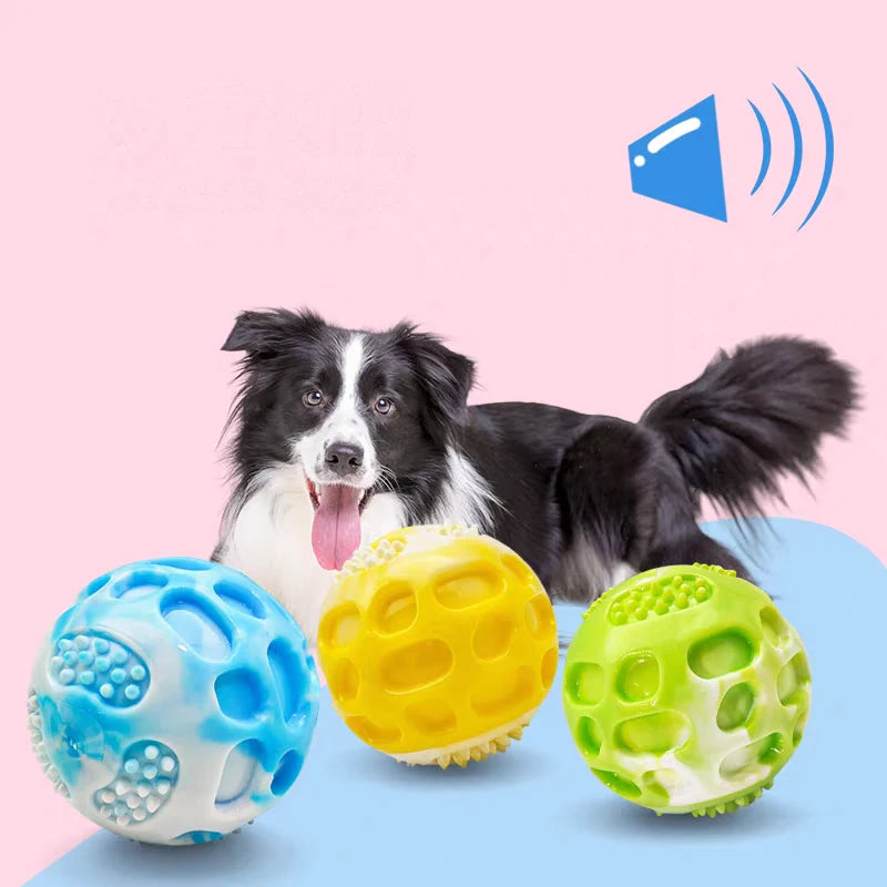 Pet dog toy durable, suitable for use during outdoor training.