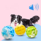 Pet dog toy durable, suitable for use during outdoor training.
