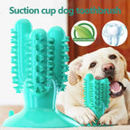 Toothbrush for Dogs Interactive Training IQ Teeth Cleaning for Small Medium Large Dogs