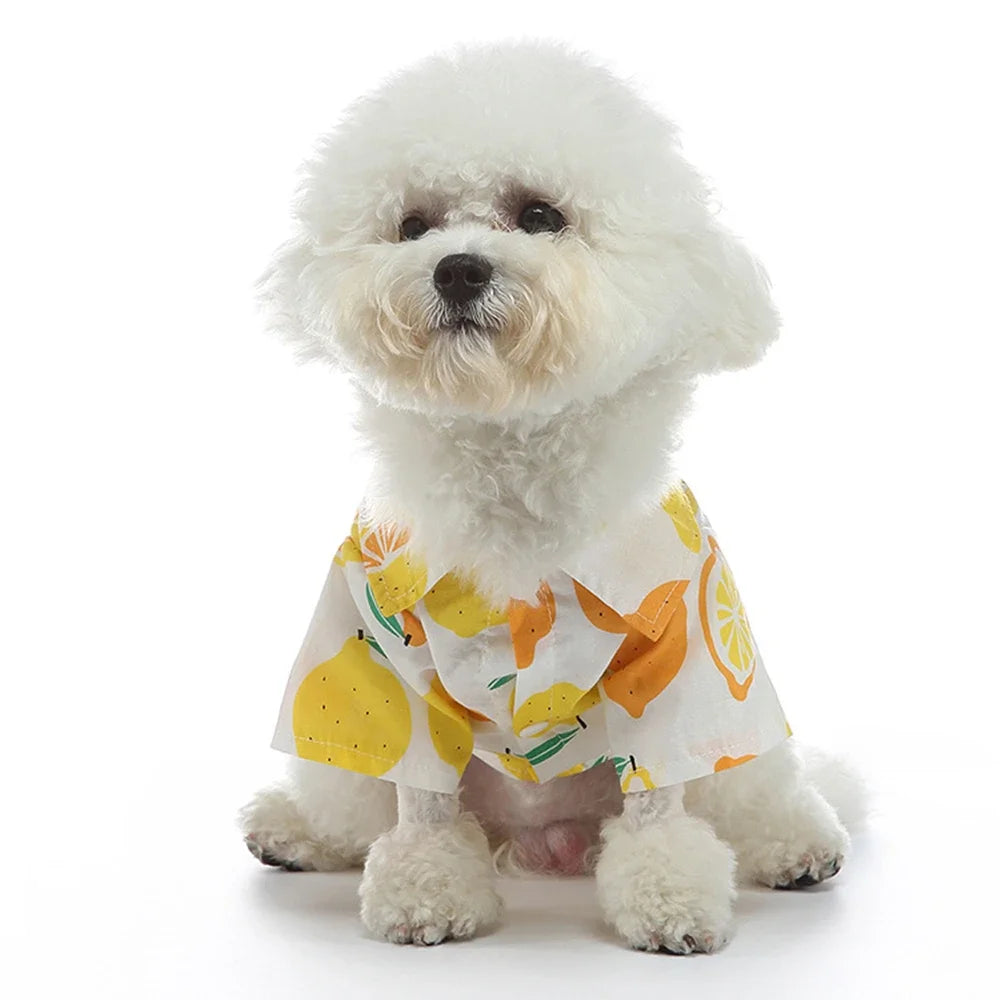 Fruit Printed Shirts Thin Clothing for Small Dog Outfits