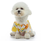 Fruit Printed Shirts Thin Clothing for Small Dog Outfits