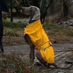 Waterproof Raincoat for Dogs Windbreaker Jacket Clothing Pet Coat