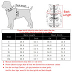 Rainbow Jacket Coat For Small Medium Dogs Winter Warm Fleece