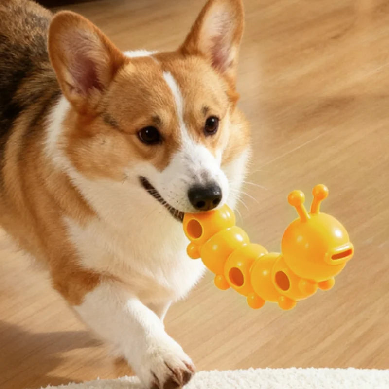 Pet Treat Dispenser Cookie Shaped