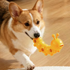 Pet Treat Dispenser Cookie Shaped