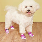 Shoes for Large Medium Dogs with Letters, Paw Protectors Water-Resistant