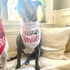 Feliz Navidog Feliz Navidad Pet Photo props
