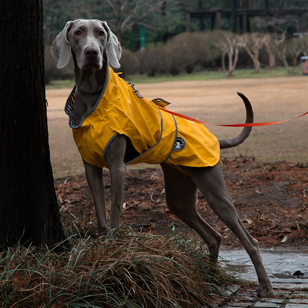 Waterproof Raincoat for Dogs Windbreaker Jacket Clothing Pet Coat