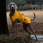 Waterproof Raincoat for Dogs Windbreaker Jacket Clothing Pet Coat