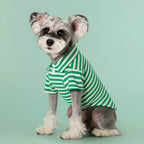 Polo Shirts Summer Striped Cotton Puppy Pullover