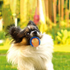 For Large Dogs Interactive Training Ball Outdoor Interactive Game Chew Toys