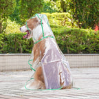 Transparent Pet Raincoat Comprehensive Medium and Large dogs