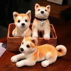 Soft Interactive Dog Toy