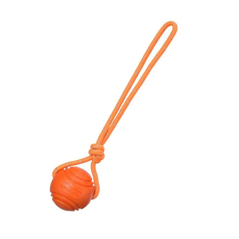 Bouncy Rubber Ball Chew Dog Toy Ball