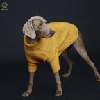 Spring Sweater with Sleeves, Cable Knit, D-ring Hole Detail for Dogs