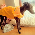 Raincoat Waterproof Hoodie Jacket Rain Pet Rainwear with Reflective Stripe