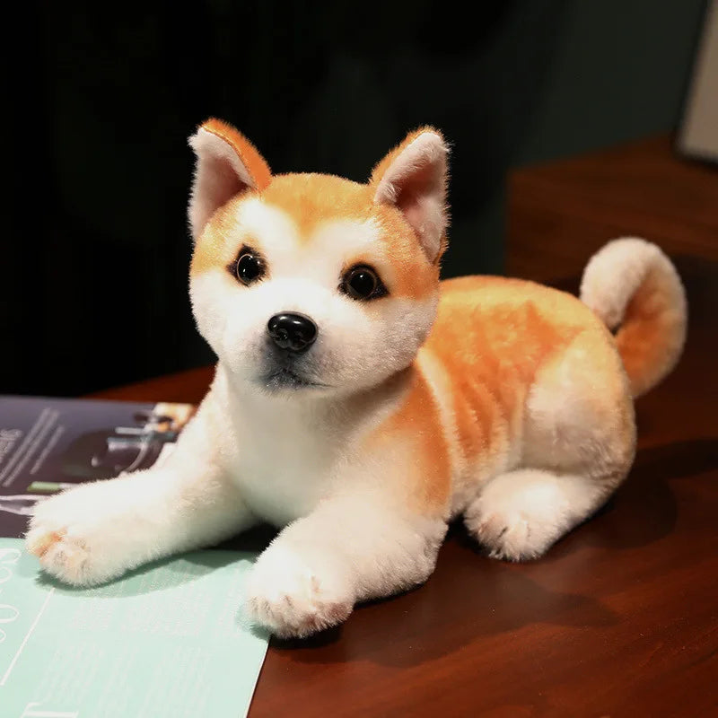Soft Interactive Dog Toy