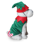 Dog Christmas, Halloween, Clown Chihuahua Costume