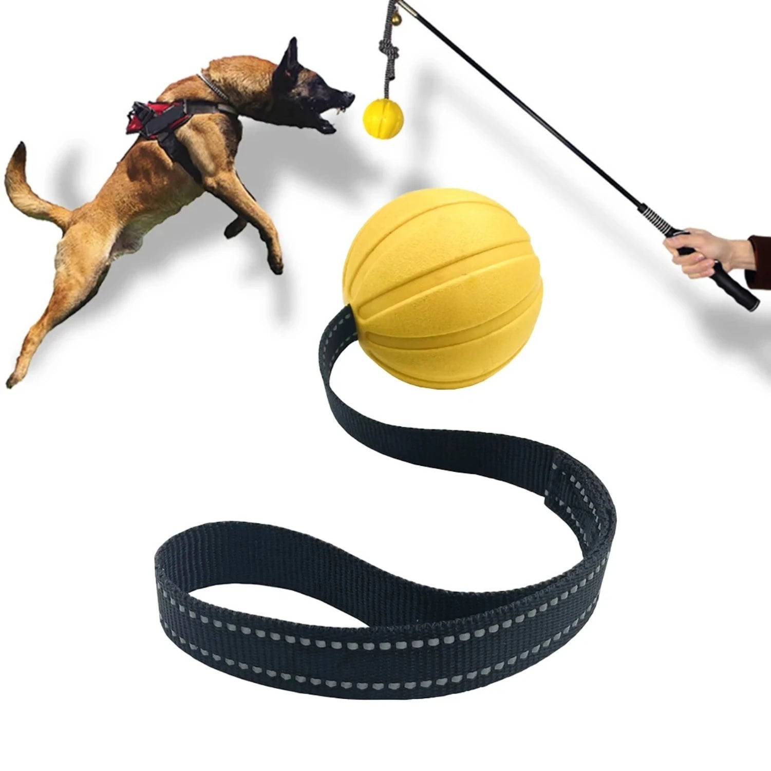 Ball On a Rope for Small Medium Large Dogs Chewers