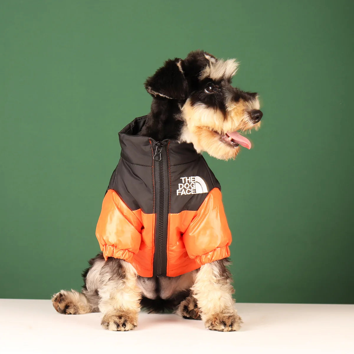 Windproof Jacket Small Medium Dog Reflective Pet Outfits
