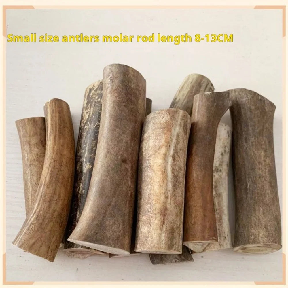 Natural Deer Antler Chew Toy for Dogs, Teeth Cleaning Bone, 500g, No Additives
