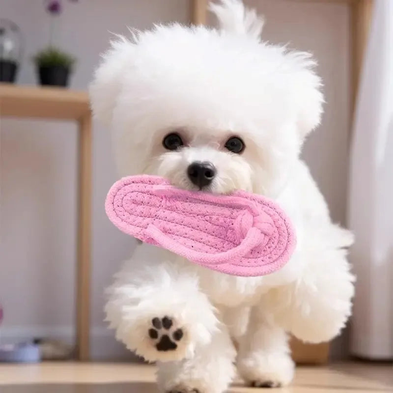 1Pcs Dog Toys Pet Simulation Plush Slipper Chew Toy