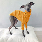 Spring Autumn High Collar Two-legged Whippet Turtleneck Pajamas Dog Supplies