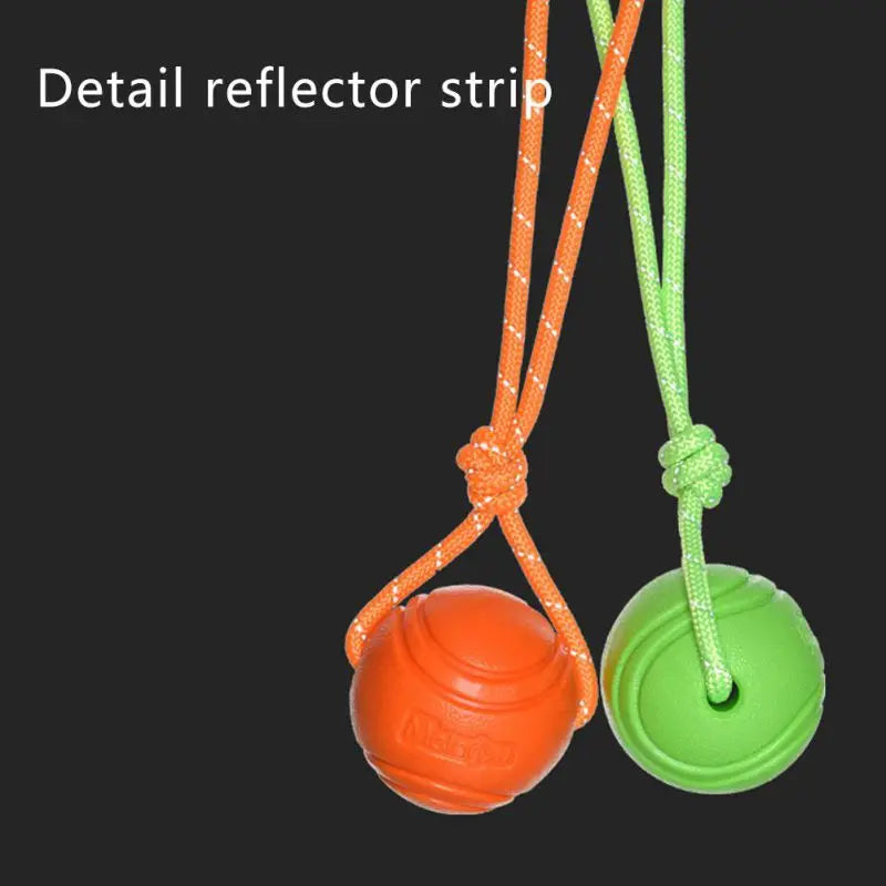Bouncy Rubber Ball Chew Dog Toy Ball