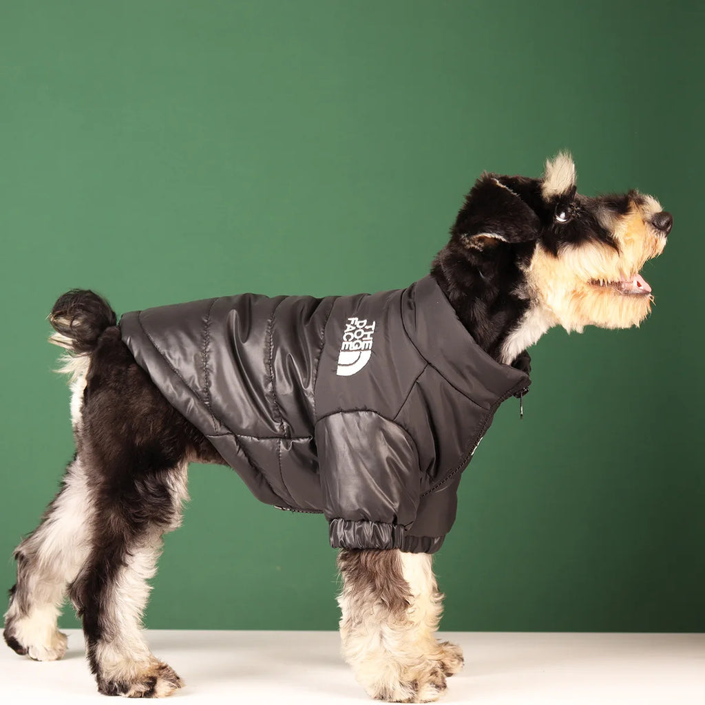 Windproof Jacket Small Medium Dog Reflective Pet Outfits