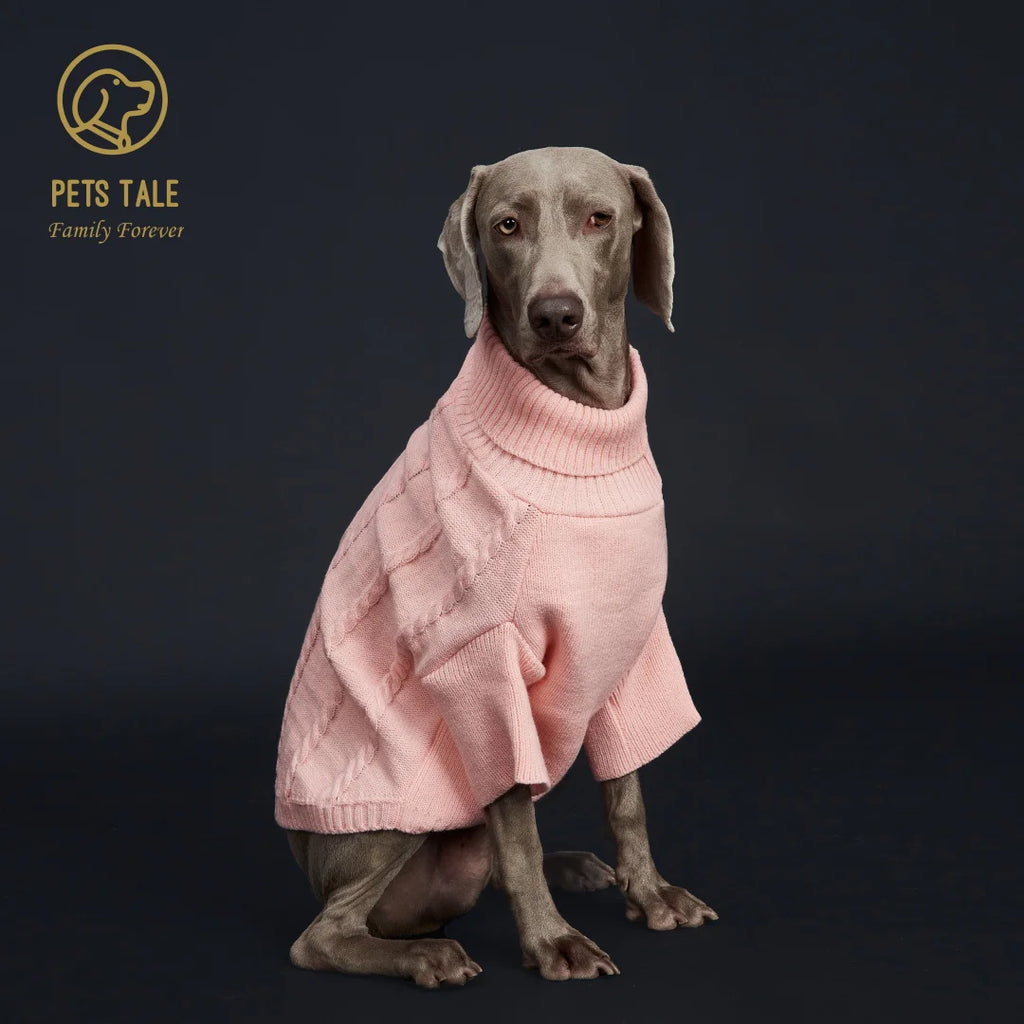Spring Sweater with Sleeves, Cable Knit, D-ring Hole Detail for Dogs