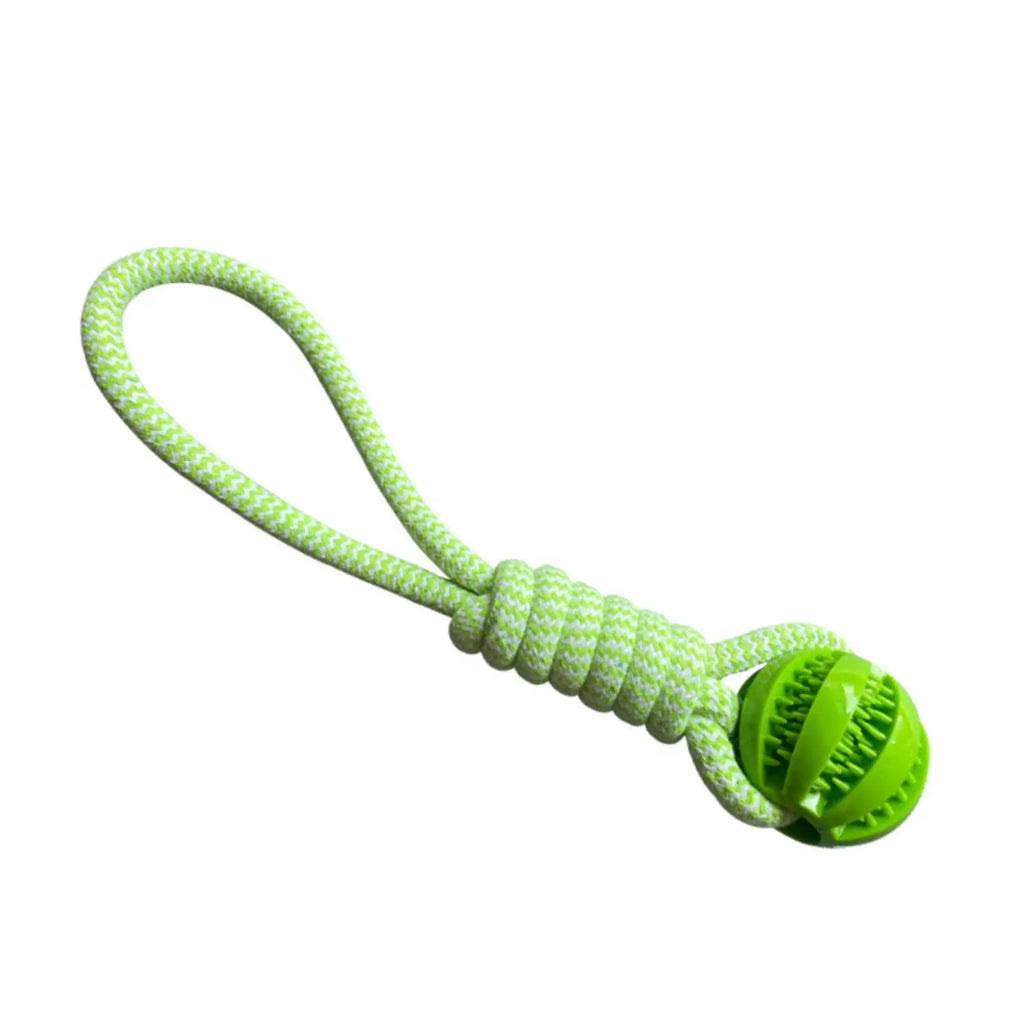 Interactive Rope Rubber Leaking Balls for Small Medium Dogs