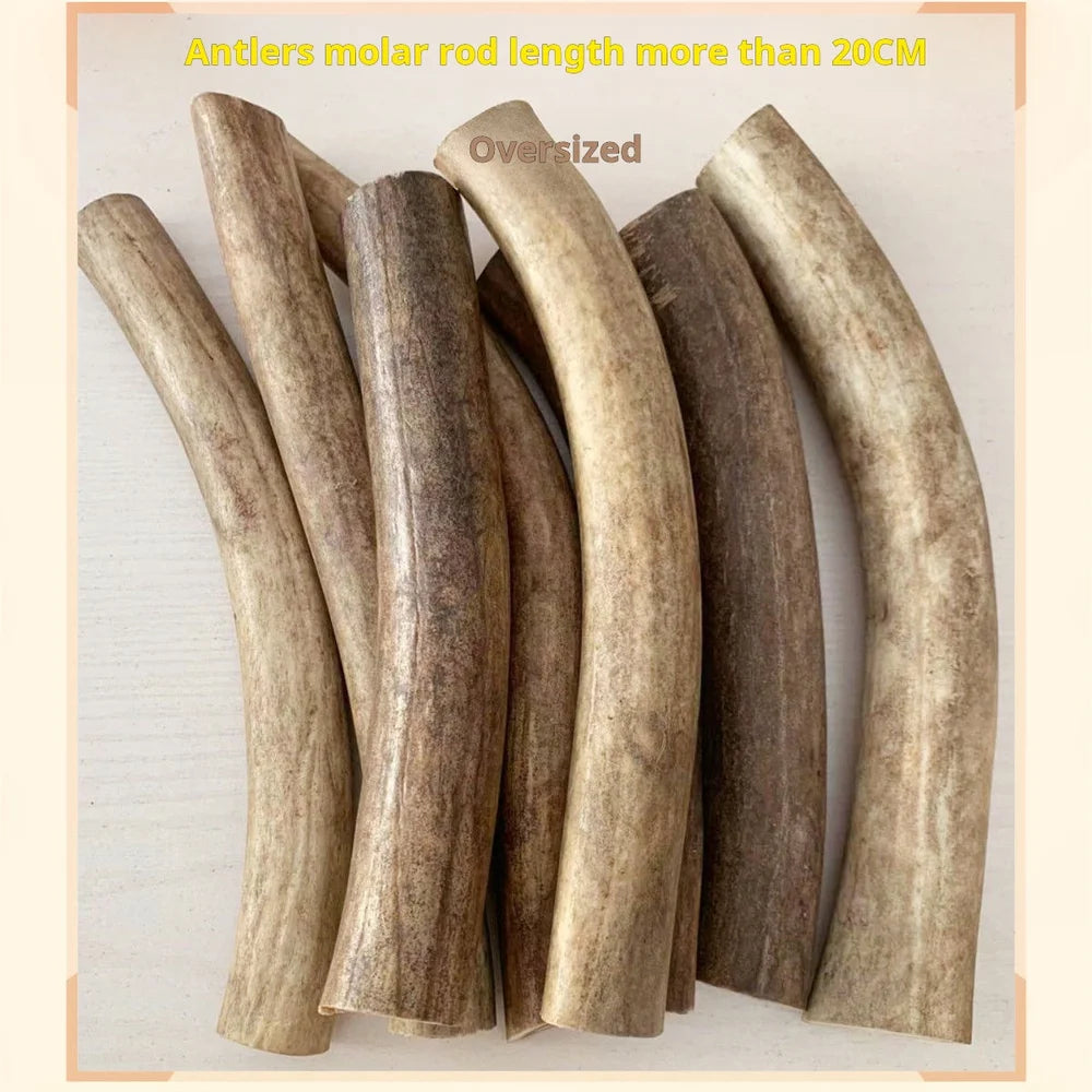 Natural Deer Antler Chew Toy for Dogs, Teeth Cleaning Bone, 500g, No Additives
