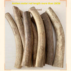 Natural Deer Antler Chew Toy for Dogs, Teeth Cleaning Bone, 500g, No Additives