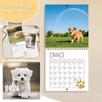 Gifts For Friends 2026 New Dogs Calendar Schedule Organizer Wall Calendar