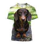 Funny Dachshund T-Shirts 3D Printed Streetwear Fashion Short Sleeve T Shirt Tees Tops