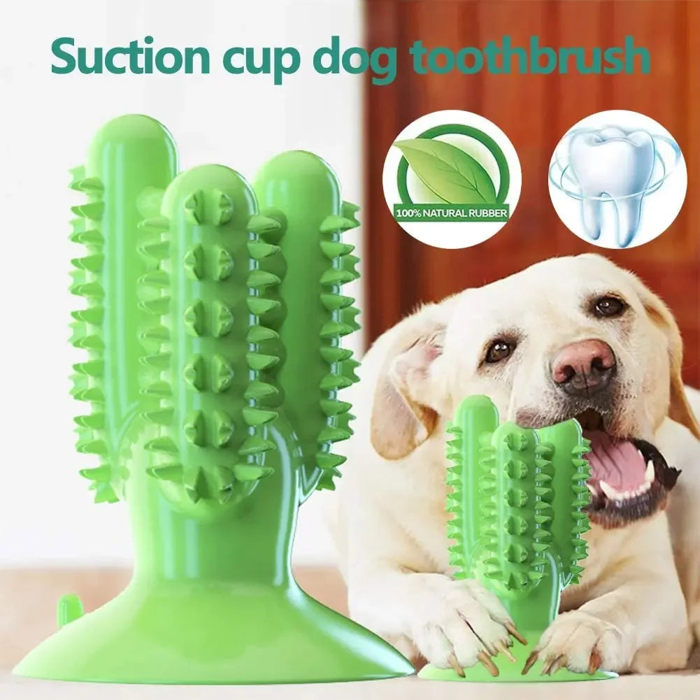 Toothbrush for Dogs Interactive Training IQ Teeth Cleaning for Small Medium Large Dogs