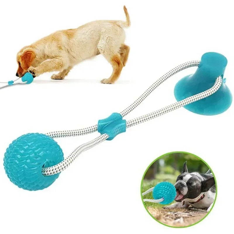 Pet Toys for Small Dogs with TPR Ball, Pet Tooth Cleaning Chewing Toy with Suction Cup
