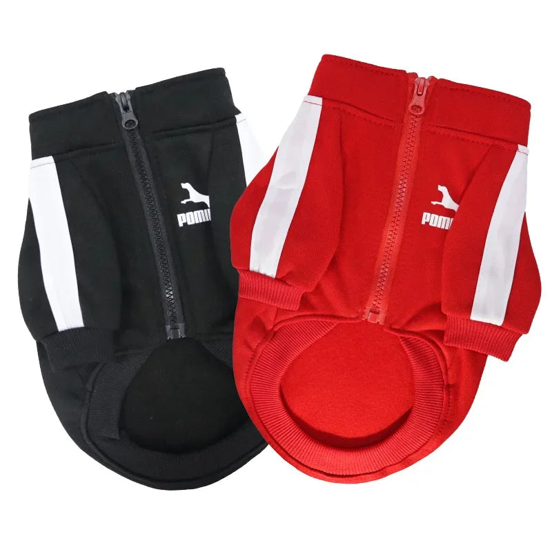 Baseball Jacket Winter for Small Medium Dogs