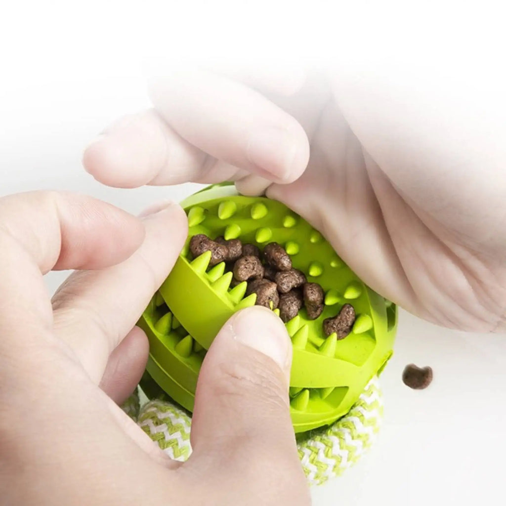 Interactive Rope Rubber Leaking Balls for Small Medium Dogs