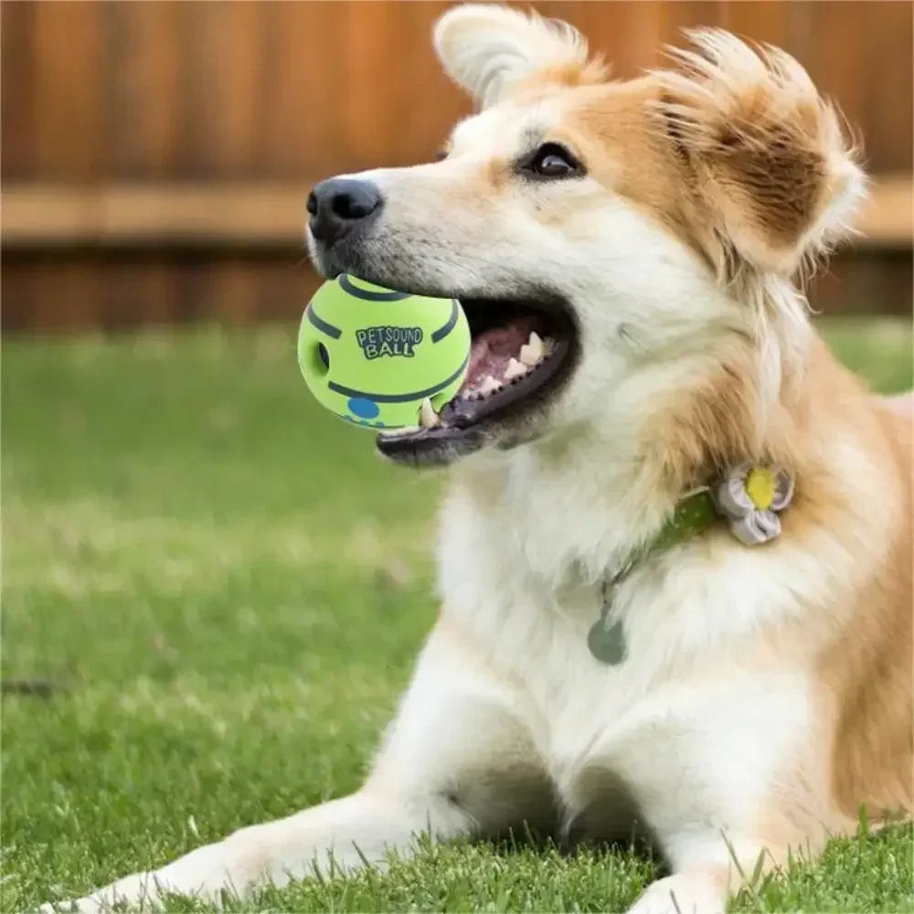 Dog Toy Funny Interactive Giggle Ball Toy Relieve Boredom Pet supplies