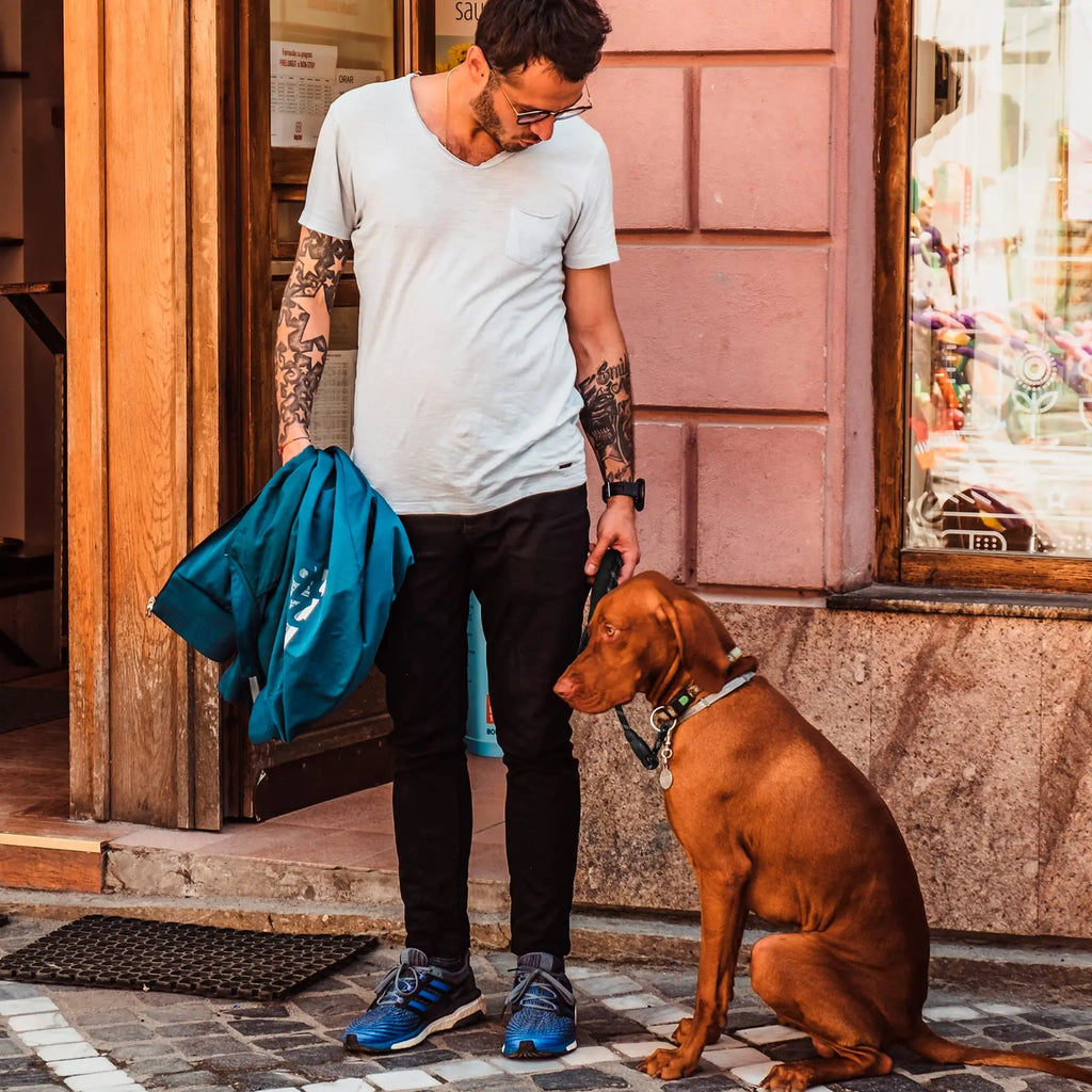 Heavy Duty Polyamide Dog Leash with Reflective Stripes - Tactical Frog Quick Release Clip, Locking Mechanism