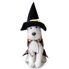 Dog Christmas, Halloween, Clown Chihuahua Costume