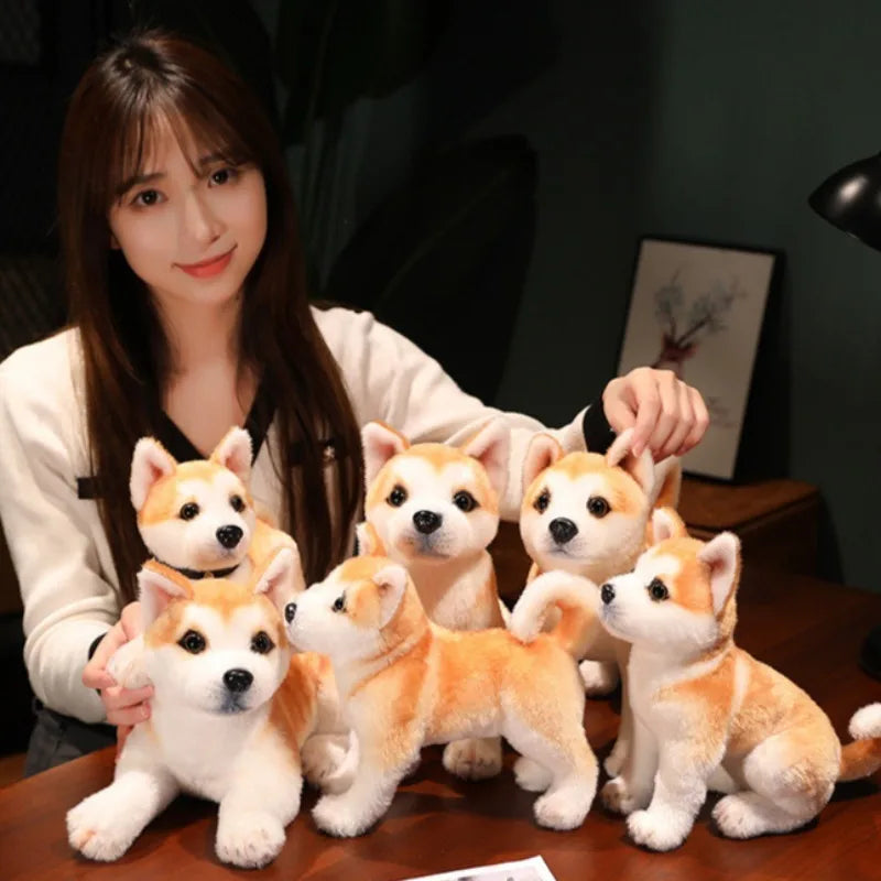 Soft Interactive Dog Toy
