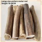 Natural Deer Antler Chew Toy for Dogs, Teeth Cleaning Bone, 500g, No Additives