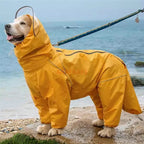 Medium to large dog all inclusive raincoat.